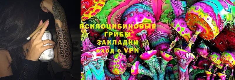 Псилоцибиновые грибы прущие грибы  кракен зеркало  Алейск 